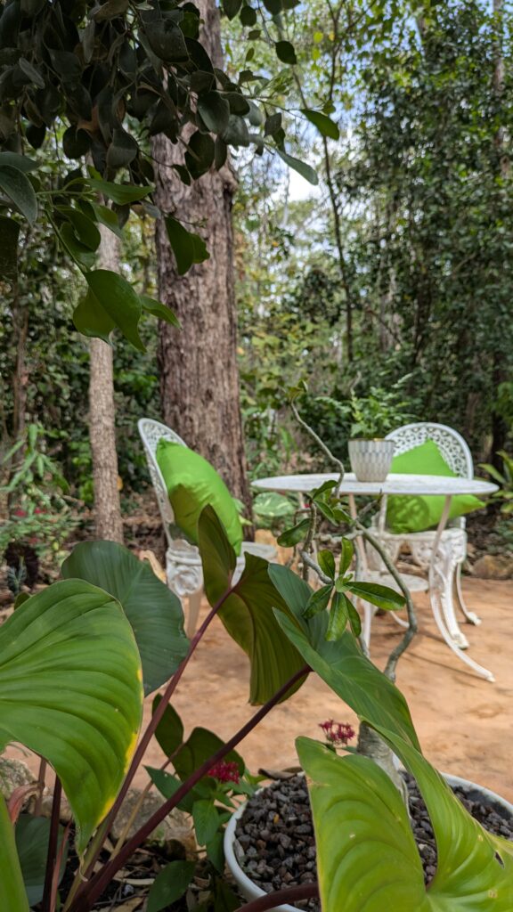 our nursery inspiring gardens backyard nursery herbert humpty doo darwin