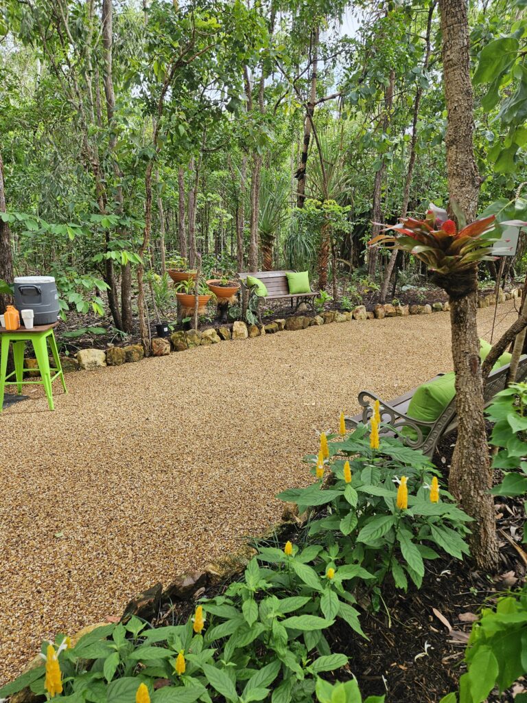 nursery inspiring gardens herbert darwin humpty doo