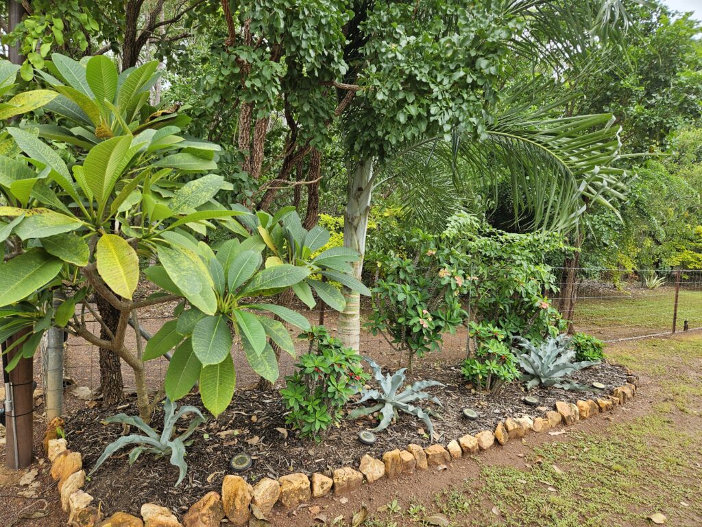 nursery inspiring gardens herbert darwin humpty doo