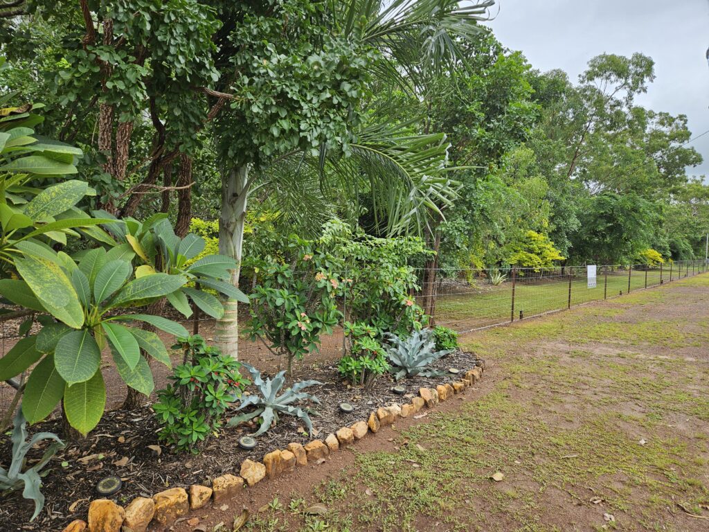 nursery inspiring gardens herbert darwin humpty doo
